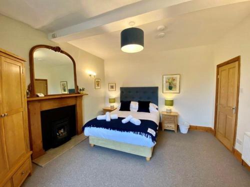彭里斯Elegant & spacious farmhouse with wonderful views的一间卧室配有一张床、一个壁炉和一个镜子