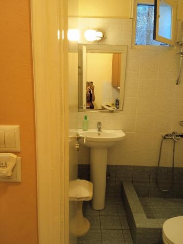 凯瑟拉Kouvaras Apartments的一间带水槽、卫生间和镜子的浴室
