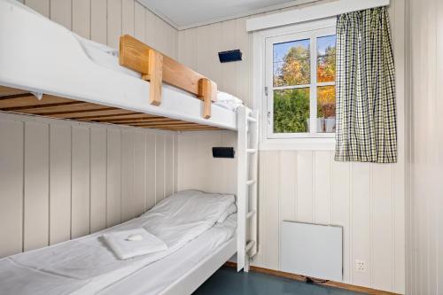 AkkerhaugenFirst Camp Norsjø Telemark的小型客房设有一张双层床,配有窗户