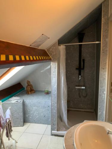 Trivières卡萨帝利昂住宿加早餐旅馆的带淋浴的浴室和客房内的一张床