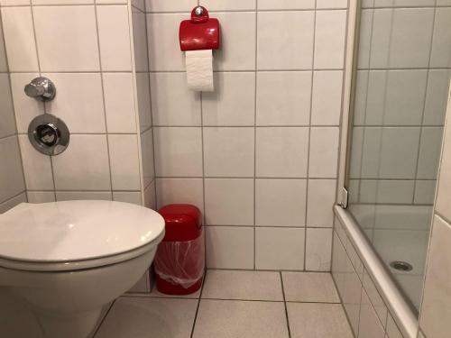 Groß KirrBirkenstr_ 14 Wohnung 1的一间带卫生间和淋浴的小浴室