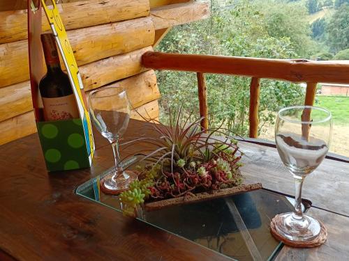 锡帕基拉Glamping El Ocaso的一张桌子,上面放着两杯酒和一瓶葡萄酒