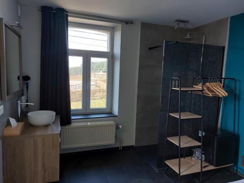 HérissartJeux de Goûts的带淋浴和盥洗盆的浴室以及窗户。