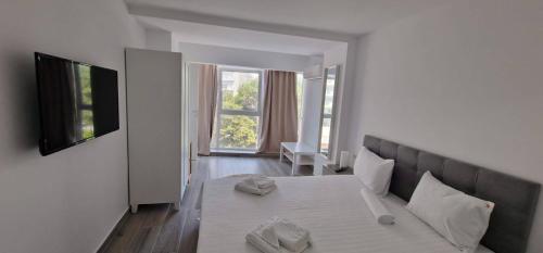 奥林普Sea View Apartments Olimp- The sunny apartment的客厅配有床和沙发