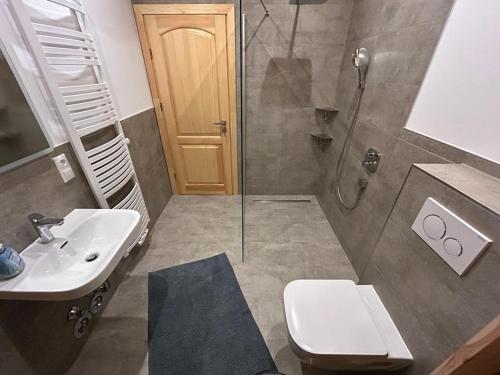 韦尔本Ferienhof Weisser Hirsch的带淋浴、卫生间和盥洗盆的浴室