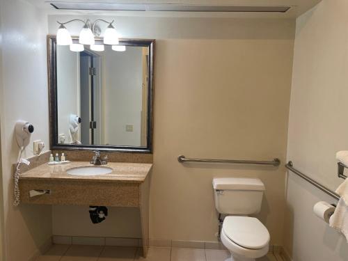 长景市Quality Inn & Suites Longview Kelso的一间带卫生间、水槽和镜子的浴室