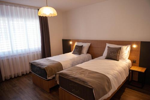 Courroux德乐奥酒店的酒店客房设有两张床和窗户。