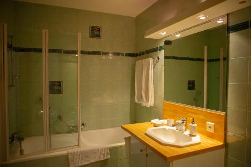 Courroux德乐奥酒店的带淋浴、盥洗盆和淋浴的浴室