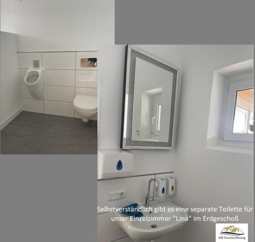 SchellertenMR Ferienwohnung - Einzelzimmer Lina的一间带卫生间、水槽和镜子的浴室