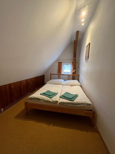 姆拉代布基Ubytování Sedlařík Mladé Buky的一间卧室配有一张带两个绿色枕头的床