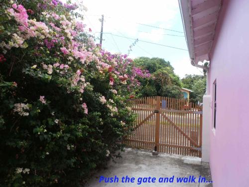 ChoiseulThe Pink House的门旁有粉红色花的栅栏