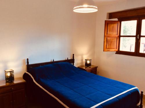 蒂尔卡拉Casa en Tilcara con hermosa vista al Pucara的一间卧室设有蓝色的床和窗户。