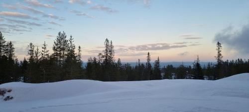 萨伦Fjällstugan的一组树木和雪,背景是日落