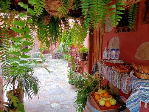 圣巴托洛梅Rural Suite Santiago de Tunte的庭院设有水果和植物桌子
