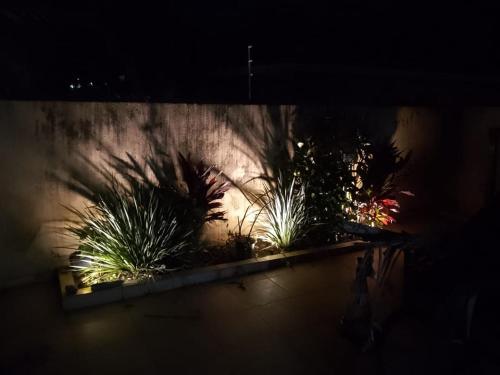 阿蒂巴亚Hospedagem Maria Joana的夜幕下的一排盆盆栽植物