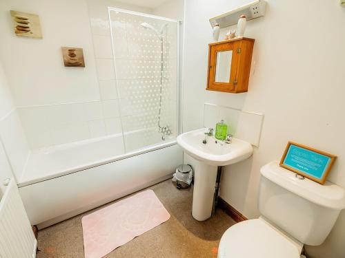 Calton松树小屋乡村别墅的一间带水槽、卫生间和淋浴的浴室