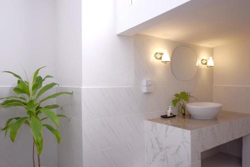 清迈Inn Oon Villa的浴室设有水槽、镜子和植物