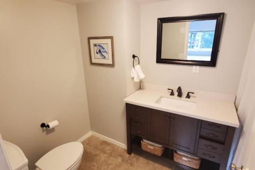 安克雷奇Luxury DT Cottage - Free Parking - Self Check-In的一间带水槽、卫生间和镜子的浴室