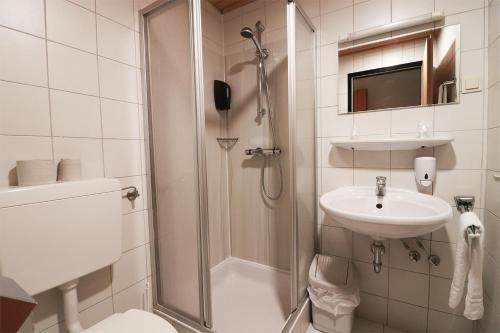 圣珀尔滕Schlafgut的带淋浴、盥洗盆和卫生间的浴室