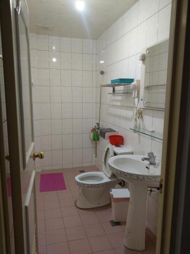 金湖镇煌家民宿的一间带卫生间和水槽的浴室