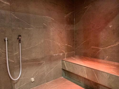 苏尔茨贝格Hotel-Pension Seebad "Seegenuss-Natur-Spa"的带淋浴和步入式淋浴间的浴室