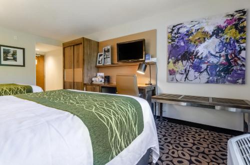 罗利Comfort Inn Raleigh Midtown的配有一张床和一张书桌的酒店客房