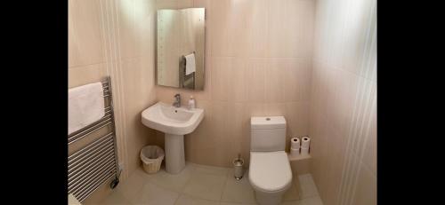纽卡斯尔Donard View Penthouse的一间带卫生间和水槽的小浴室
