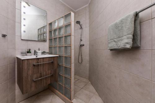棕榈滩Villa Tamar的带淋浴、盥洗盆和镜子的浴室
