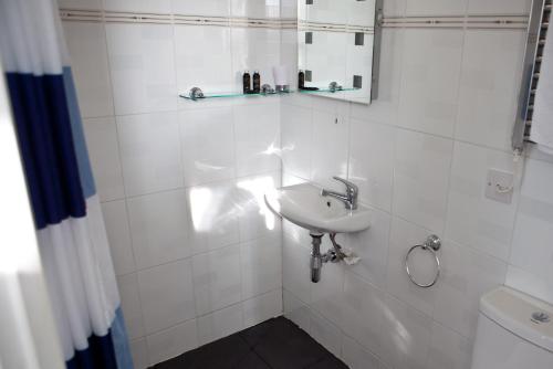 以撒港复古学院酒店的白色的浴室设有水槽和镜子