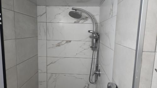 迈季代勒舍姆斯אירוח מילאן בחרמון的带淋浴的浴室(以白色大理石装饰)