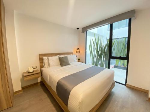 墨西哥城Darwin 8的一间卧室设有一张大床和一个大窗户