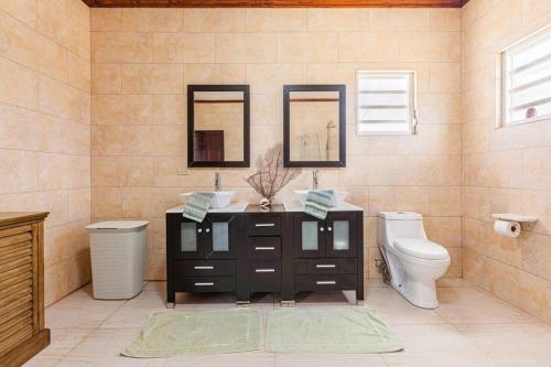South Hill VillageThe Junior Suite's "Palm Studio Apartment"的一间带水槽、卫生间和镜子的浴室