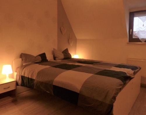 Mengersgereuth-HämmernFerienwohnung Schelhorn的一间卧室配有一张带两盏灯的床和一扇窗户。