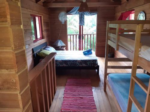 法勒B & Bee Wild Island - Nature Song的一间带两张双层床的卧室和楼梯