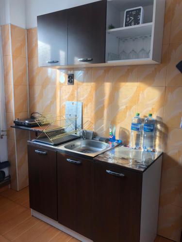 德瓦Apartament BAȘAK 2的厨房配有水槽和台面