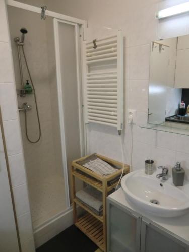 小莫拉夫卡Apartmány Karlov pod Pradědem的一间带水槽和淋浴的浴室