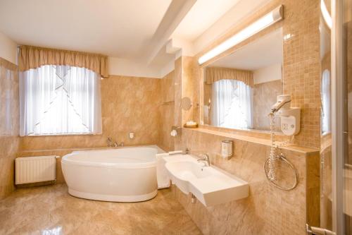 热舒夫阿蒙吧萨多斯基热舒夫酒店的带浴缸和盥洗盆的浴室