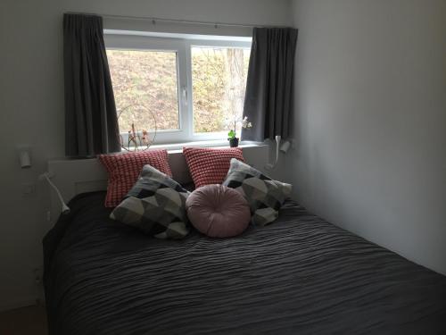 马尔梅迪Les terrasses de Malmedy duplex 420的卧室配有带枕头的床铺和窗户。