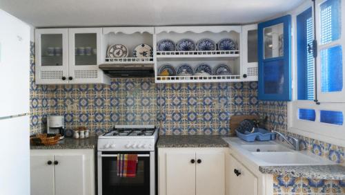 苏塞Dar El Goulli的厨房的墙壁上铺有蓝色和白色的瓷砖。