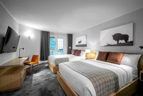 路易斯湖路易斯湖酒店 的酒店客房设有两张床和电视。