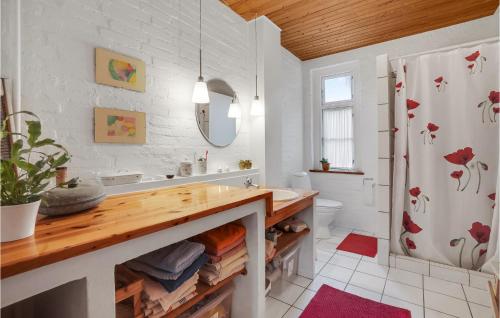 森讷堡Lovely Home In Snderborg With Kitchen的一间带水槽、卫生间和淋浴的浴室