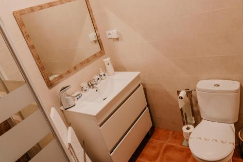 Casa Capricho del Destino的一间带卫生间、水槽和镜子的浴室