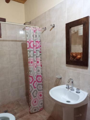 蒂尔卡拉La Herencia Tilcara的一间带水槽和淋浴帘的浴室
