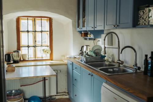 Šentjošt nad HorjulomApartments Možinetova hiša的厨房配有蓝色橱柜、水槽和窗户。