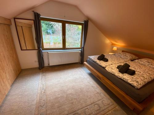 WeyherFerienwohnung Fernblick Pfalz - mit Sauna的一间卧室设有两张床和大窗户