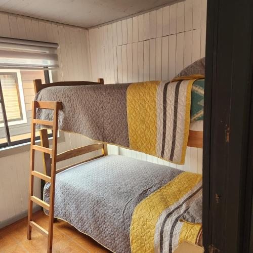 PelluhueCabañas Aldea Patuca的一间卧室设有两张双层床和一扇窗户。