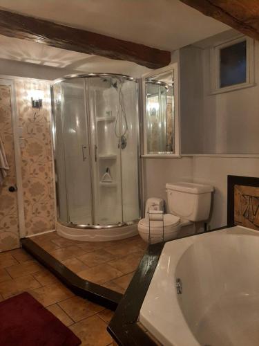 查图里彻尔Auberge le Petit Séjour的带淋浴、浴缸和卫生间的浴室