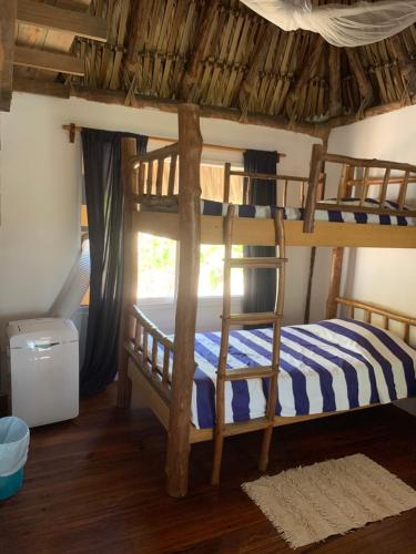 蒙特里科Cabo tortuga bungalows的一间卧室设有两张双层床和梯子