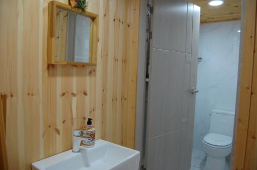 安东市Wolyeongchae的一间带水槽、卫生间和镜子的浴室
