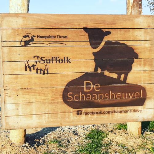 TieltSheepinn de geul的木标上挂着一头猪的照片